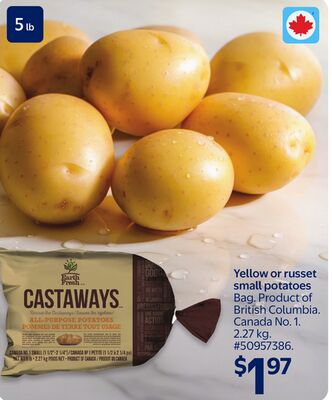 Yellow or russet small potatoes