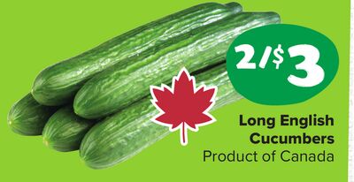 Long English Cucumbers