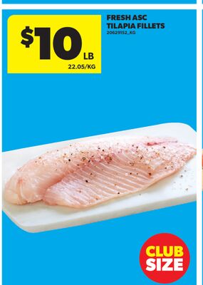 FRESH ASC TILAPIA FILLETS