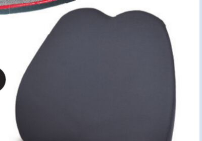 CAR PASS Memory Foam Lumbar Cushion.