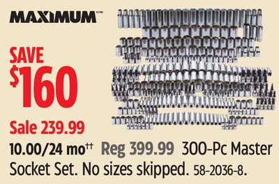 MAXIMUM 300-Pc Master Socket Set