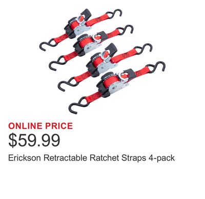 Erickson Retractable Ratchet Straps 4-pack