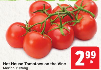 Hot House Tomatoes on the Vine