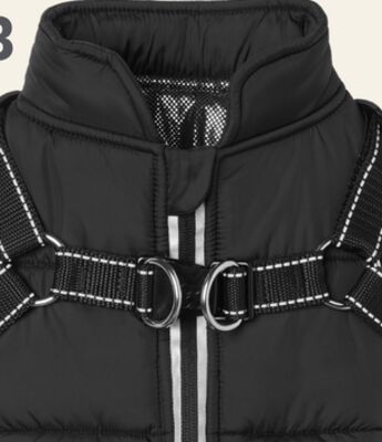 Bailey & Bella Harness Vest