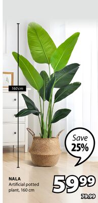 Nala Artificial potted plant