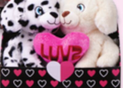 Valentine plush couple