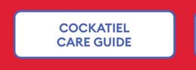 COCKATIEL CARE GUIDE