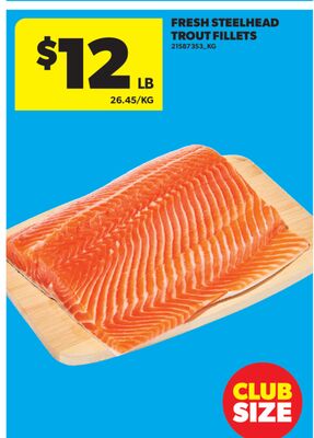 FRESH STEELHEAD TROUT FILLETS