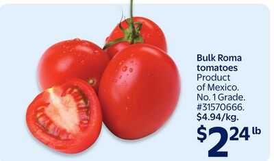 Bulk Roma tomatoes