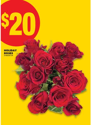 HOLIDAY ROSES