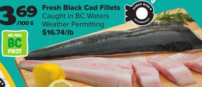 Fresh Black Cod Fillets