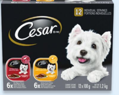 Cesar wet dog food value pack