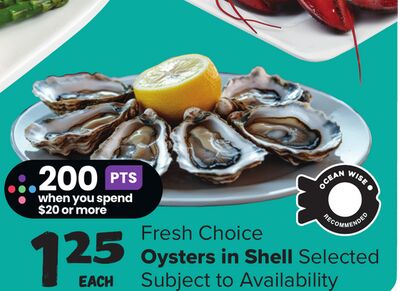 Fresh Choice Oysters in Shell