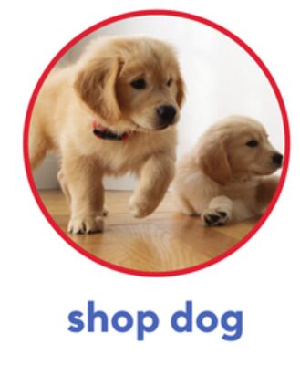 shop dog