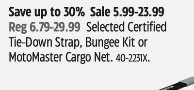 Selected Certified Tie-Down Strap, Bungee Kit or MotoMaster Cargo Net