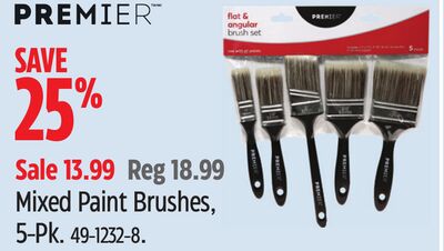 PREMIER Mixed Paint Brushes