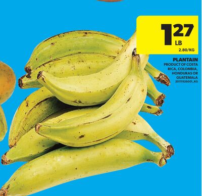 PLANTAIN