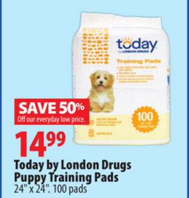 Today by London Drugs Puppy Training Pads