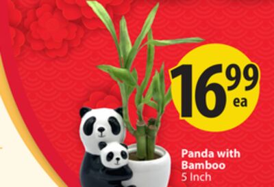 Panda with Bamboo