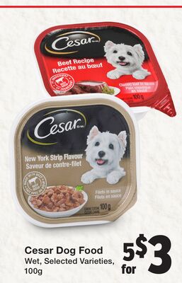 Cesar Dog Food