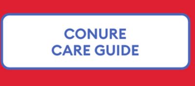 CONURE CARE GUIDE