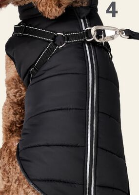 Bailey & Bella Harness Vest