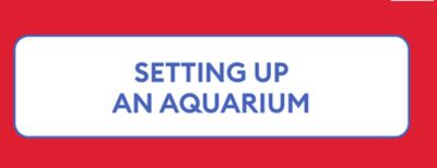 SETTING UP AN AQUARIUM