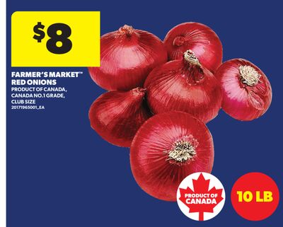 FARMER'S MARKET™ RED ONIONS, 10 LB