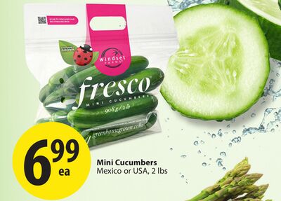 Mini Cucumbers