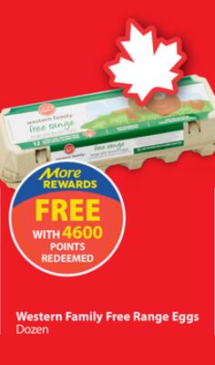 Western Family Free Range Eggs