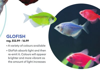 GLOFISH