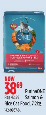 Purina ONE Salmon & Rice Cat Food