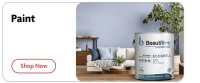 Shop Now Paint