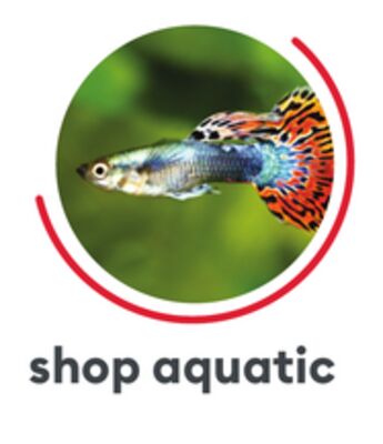 SHOP AQUATIC