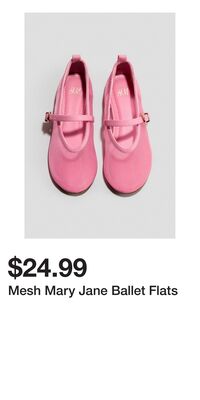Mesh Mary Jane Ballet Flats