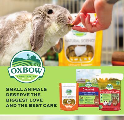 SMALL ANIMALS DESERVE THE BIGGEST LOVE AND THE BEST CARE