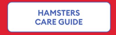 HAMSTERS CARE GUIDE