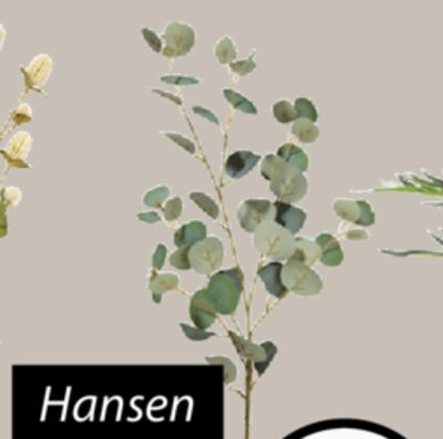 Hansen Artificial leaf