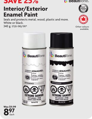 Interior/Exterior Enamel Paint