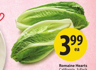Romaine Hearts