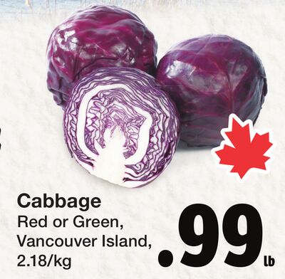 Cabbage