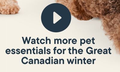 Watch more pet essentials for the Great Canadian winter