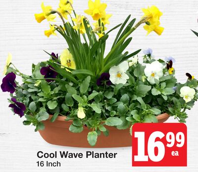 Cool Wave Planter