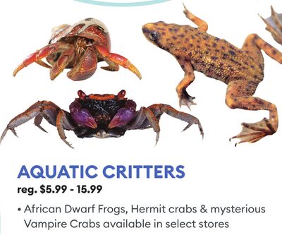 AQUATIC CRITTERS