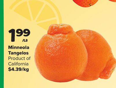 Minneola Tangelos