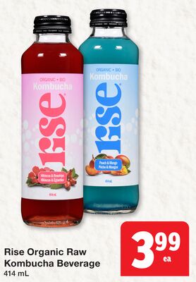 Rise Organic Raw Kombucha Beverage