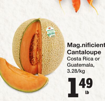 Mag.nificient Cantaloupe