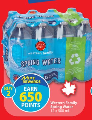 Western Family Spring Water