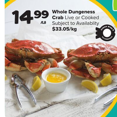 Whole Dungeness Crab