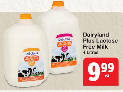 Dairyland Plus Lactose Free Milk